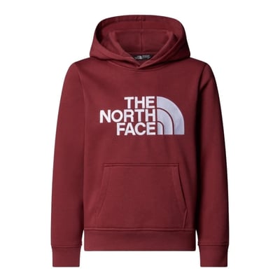 Drew Peak Hoodie Trui Kinderen Soellaart.nl