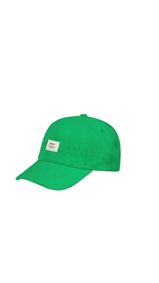 Begonia Pet Dames Soellaart.nl