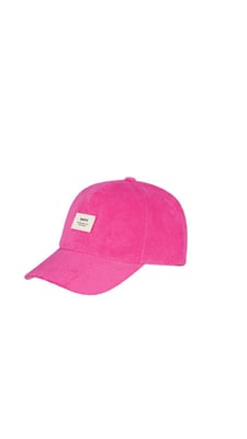 Begonia Pet Dames Soellaart.nl